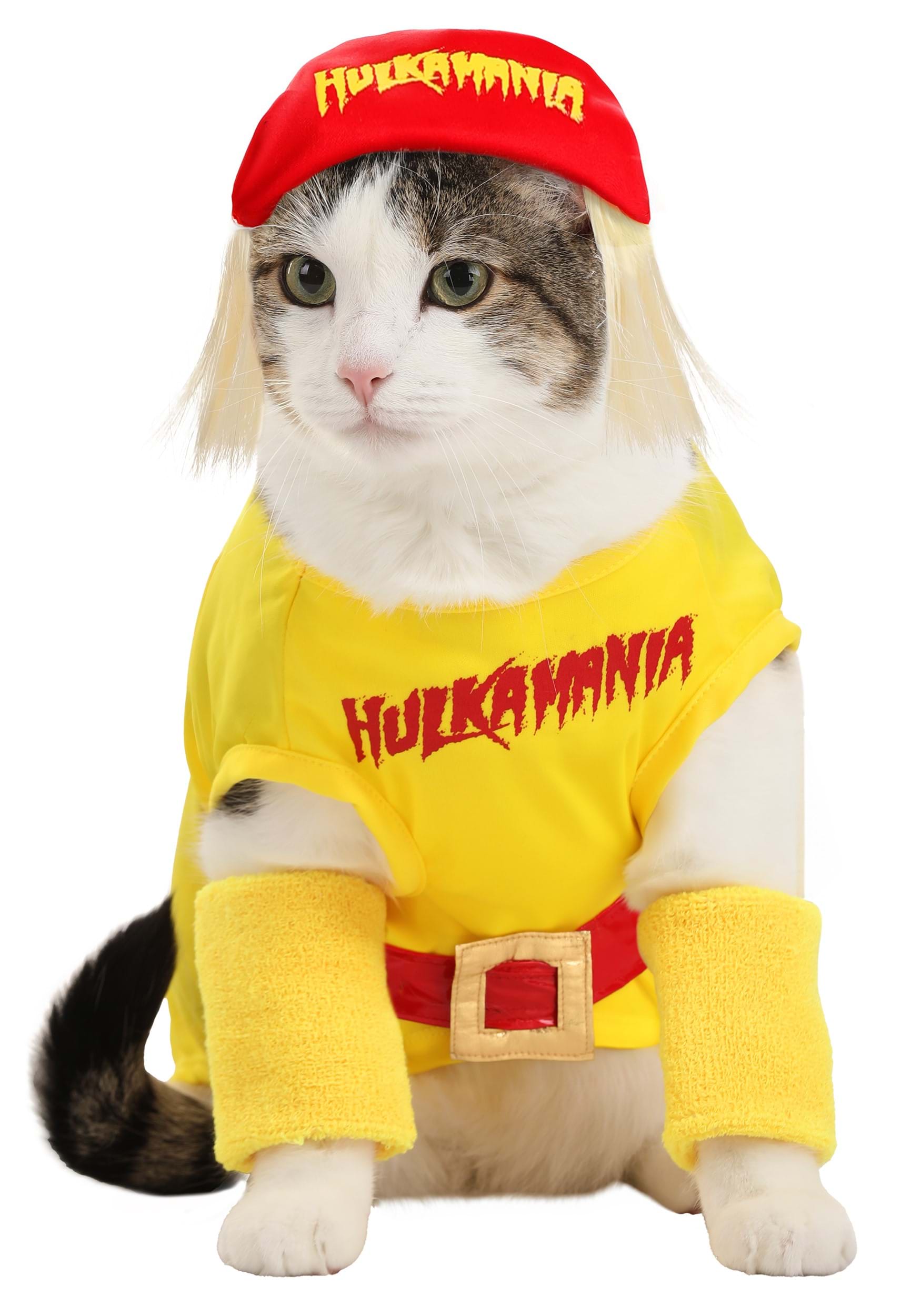 Hulk Hogan Pet Costume for Dogs