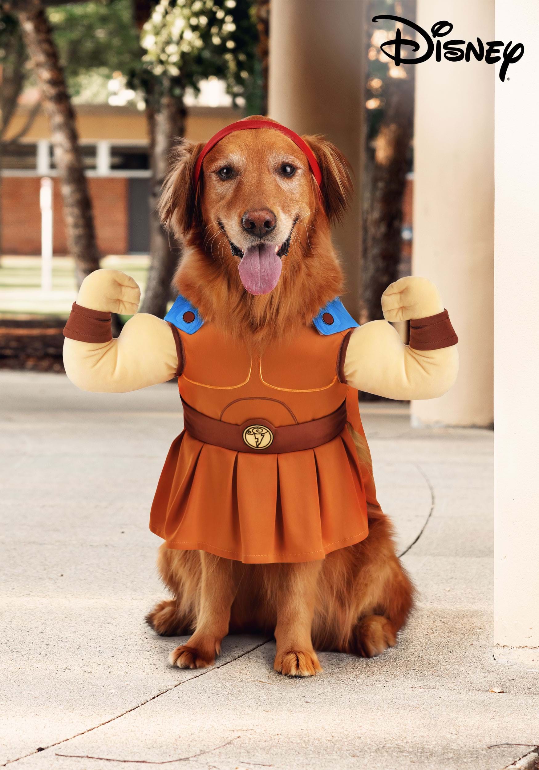 Disney Hercules Pet Costume
