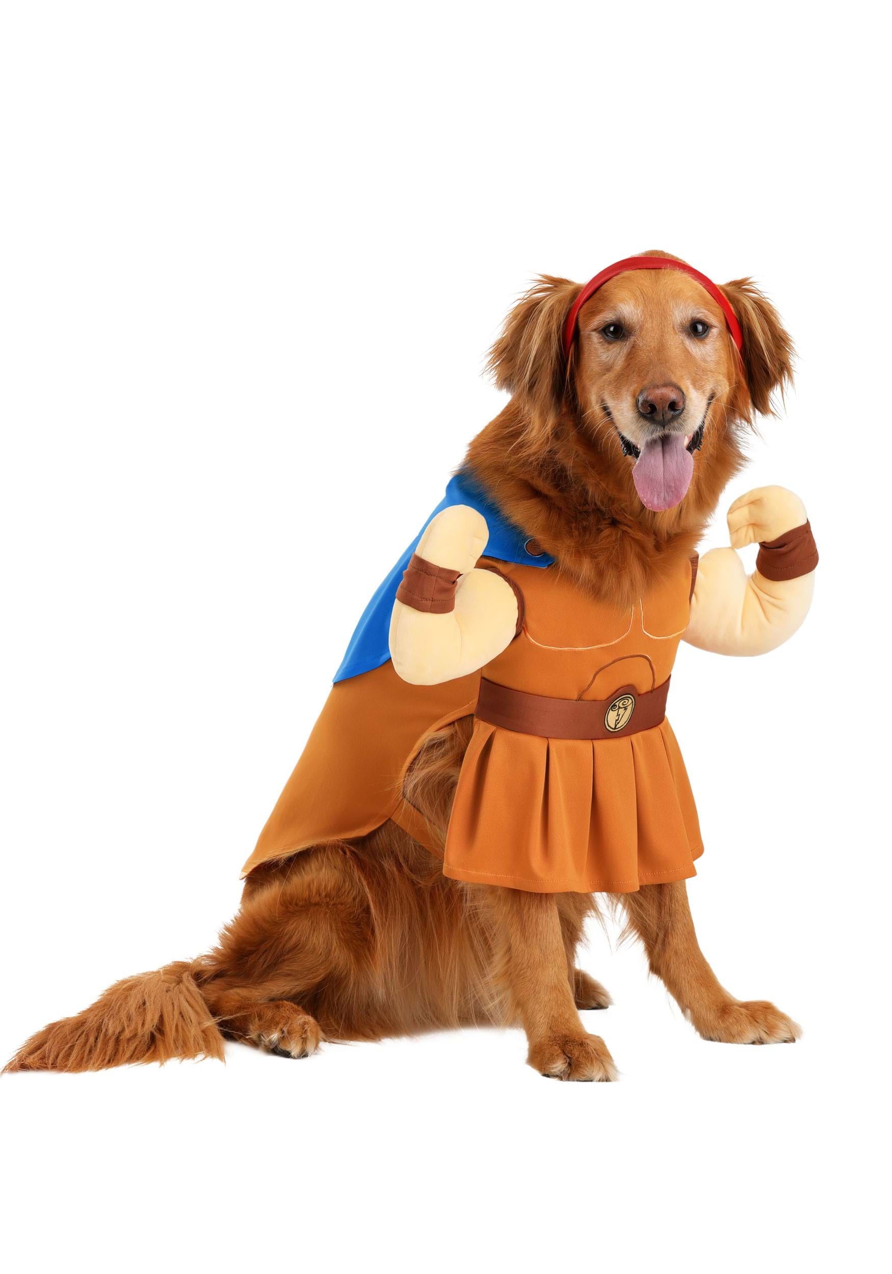 Disney Hercules Pet Costume