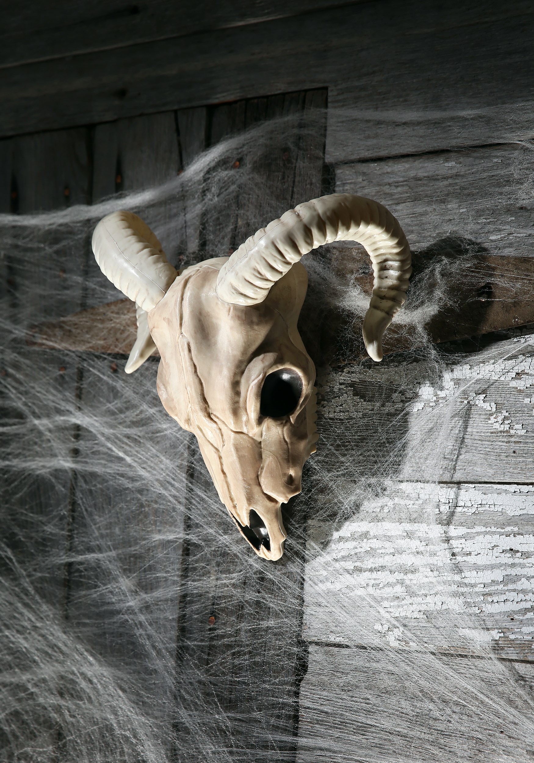 13-Inch Plastic Skull Ram Decoration