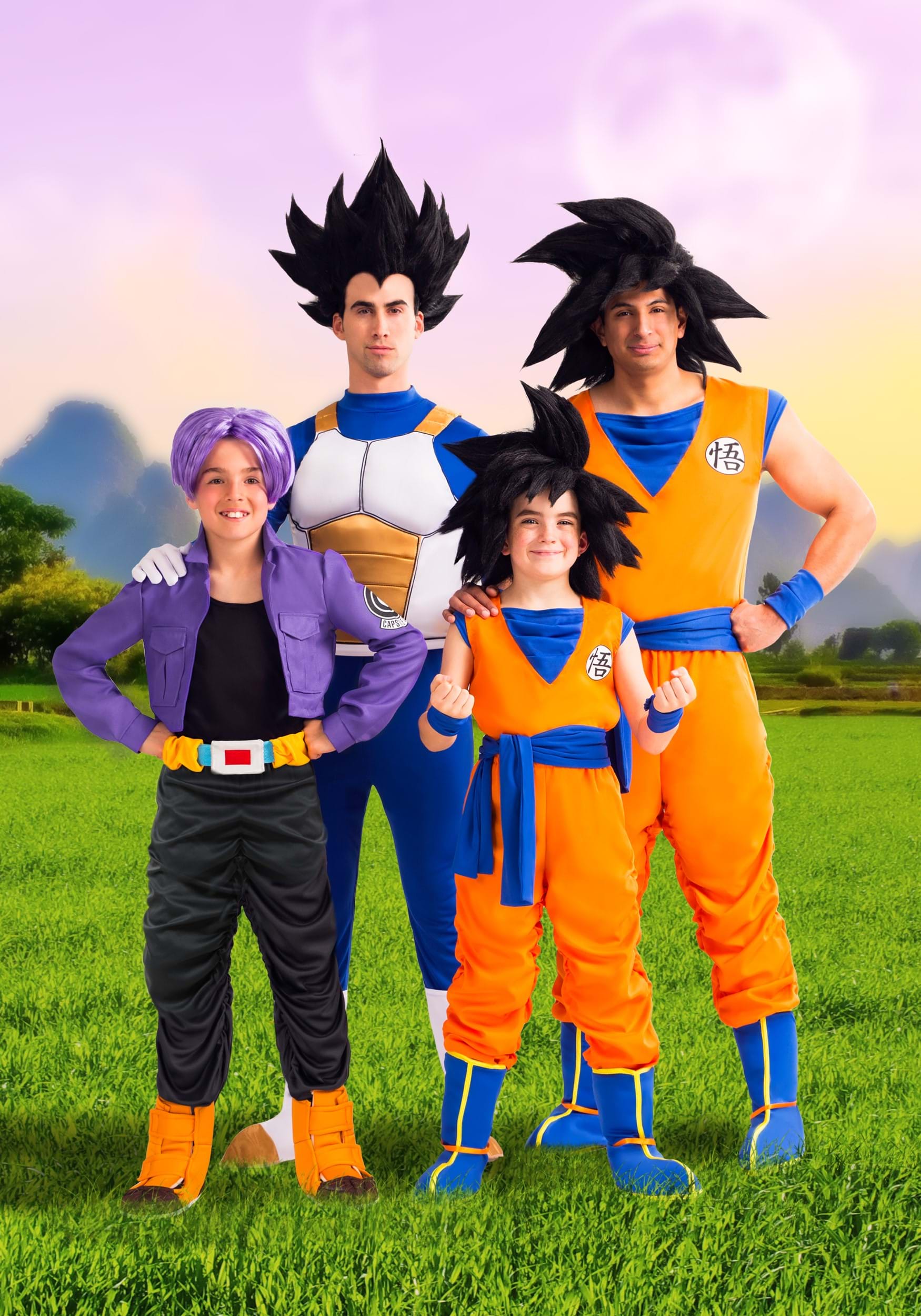 Dragon Ball Z Men's Goku Costume