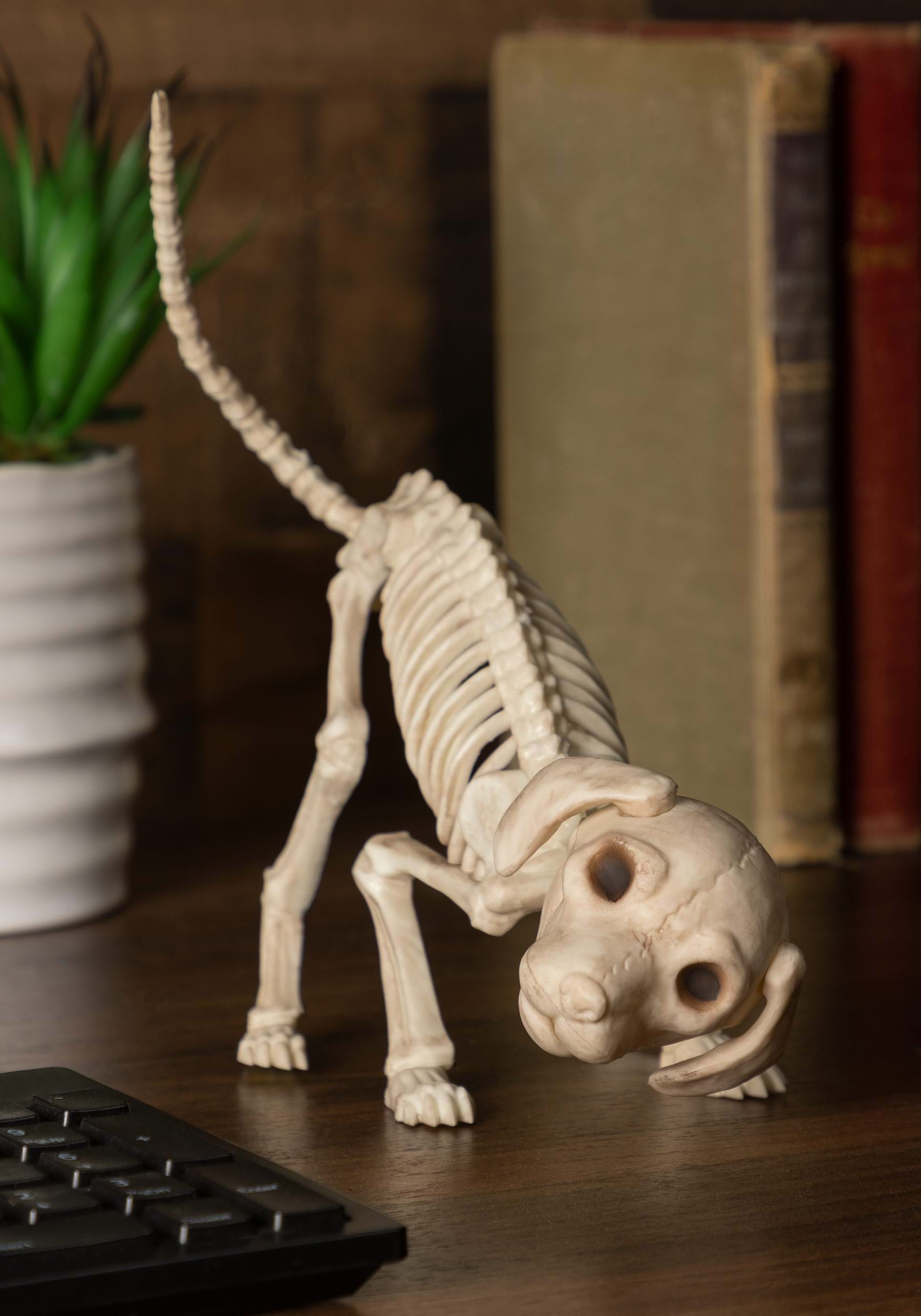 7.5-Inch Puppy Halloween Skeleton Decoration 1 7.5-Inch Puppy Halloween Skeleton Decoration